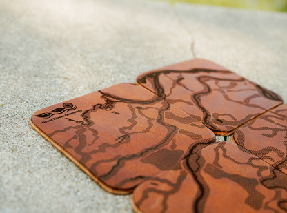 Leather Greenway Coaster Set